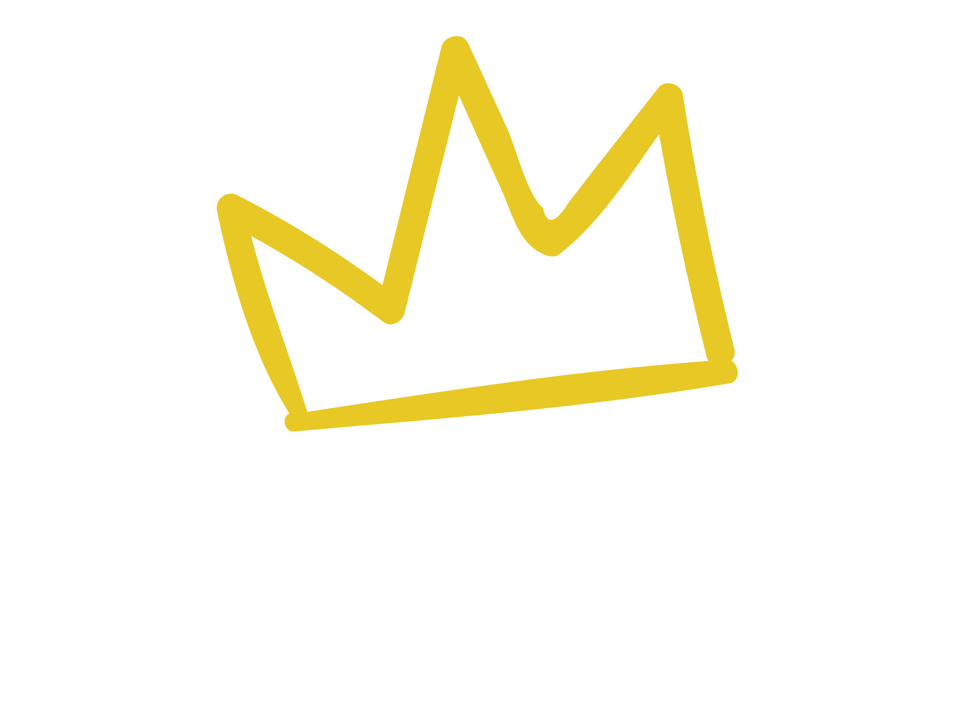 CHAD Property